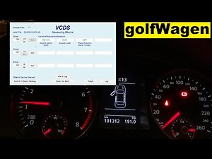 VCDS Timing Chain Stretch check VW/AUDI