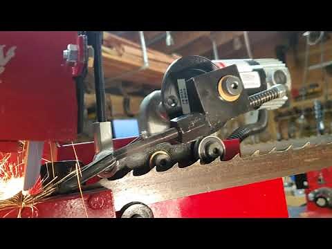 Cook's cat claw sharpener with Mr. Robert