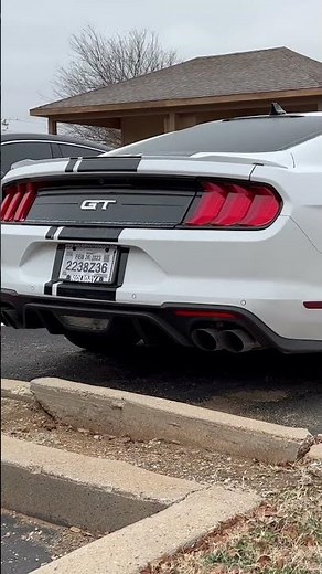 2022 Mustang GT - Stock Exhaust Cold Start (Active Exhaust)