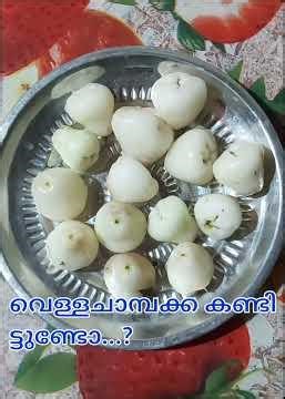 ##വെള്ളചാമ്പക്കയുടെ ഗുണങ്ങൾ##
