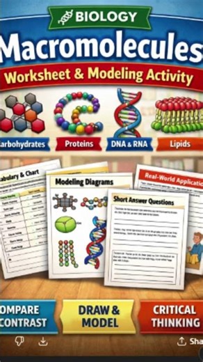 Macromolecules Bundle: Worksheets + Google Forms Test