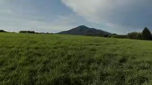 Many American churches are distorting the true gospel. It's time for Christians to examine themselves. | American Gospel