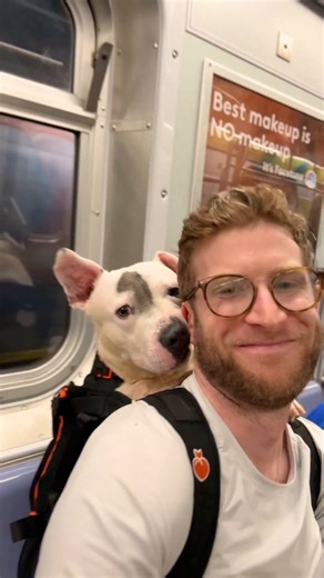 The man who went viral for carrying his corgi in a backpack is now using the same idea to help rescue dogs get noticed—toting them around to boost their chances of adoption.📹 kittytime