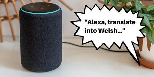 Alexa translating 'Boris Johnson carrots 100' into Welsh is unexpectedly NSFW
