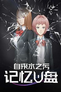 Memory Flash Drive (2018) - TV Show