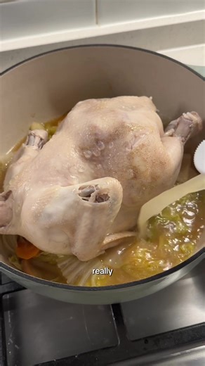 Nourishing chicken essence soup 😍 I didn’t measure anything, just threw in a whole chicken with a bunch of napa cabbage, onion, green onion, carrot, ginger, apple, and a bottle of “essence of chicken,” then seasoned with salt and pepper and added some chicken broth because there wasn’t enough liquid! Just simmer on very low heat for 1.5-2 hours :)