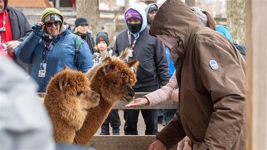 Cedar Point announces new events, renovations for 2026; What to expect