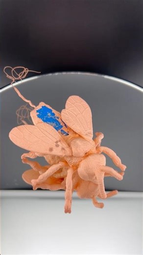 Electroformed Electroplated Honey Bee Model With Geode Out of Acid Bath Rinsed Old Footage