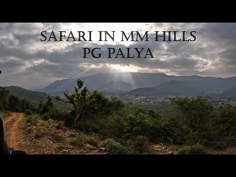 A Safari in MM Hills | PG Palya Range