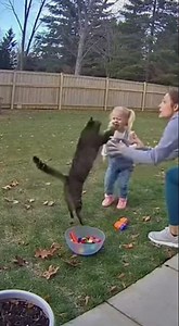 Heartwarming Dog Moments That Melt Your Soul🐶❤️24#animals #dog #pets #funny #family #love #cat