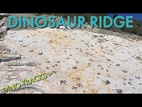 Dinosaur Ridge - Amazing Dinosaur Tracks and Fossils in Morrison, Colorado