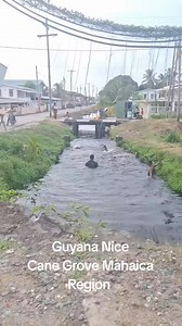 282K views · 2.5K reactions | Only in Guyana  why go to fancy pool when you can, swim in the trench  memories of the good old days ❤️ | Angela Love | Facebook