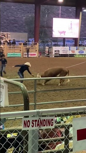 Horse Week Norco, CA 2025 | Must-See Events & Festival Highlights