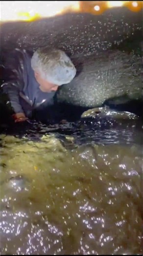 The Filthiest High-Pay Job#USLife #HighPay #DangerousJobs #foryoupage #Knowledge