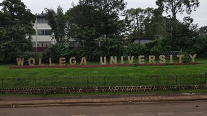 Wollega University | Wallaga University Corporate Communications