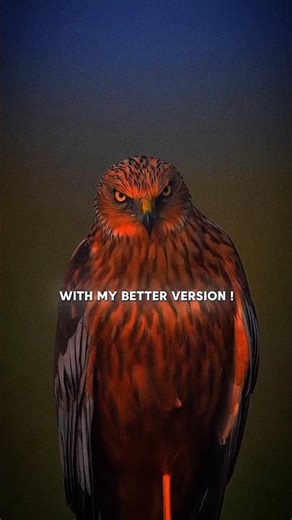 I Will Be Back Very Soon Strong Comeback 💪🔥 #comeback #soon #back #ego #motivation #shorts #ytshorts