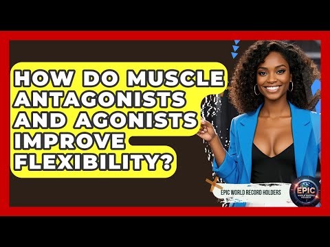 How Do Muscle Antagonists And Agonists Improve Flexibility? - Epic World Record Holders
