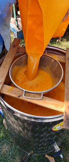 Teasc din Noua Recolta de Catina - Produs Traditional