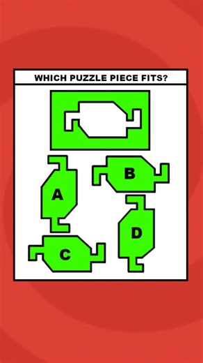Which puzzle piece?👀🤔😱 #brainwavegametime #gametime #brainteaser #MindGames #quizshow #game #quiz #puzzle #IQ #trivia #gk #riddle #generalknowledge #math #brightside | BrainWave Game Time