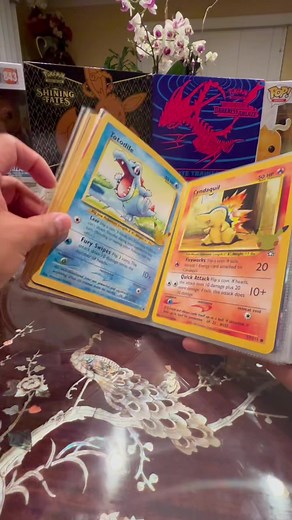 #pokemon #pokemoncelebrations #pokemonjumbocards #pikachu #charmender #bulbasaur #squirtle #treecko #dragonite #lucario