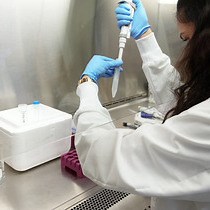 视频: 使用膜分级分离和 GTP 酶联免疫吸附测定检测小 GTP 酶异戊二烯化和 GTP 结合