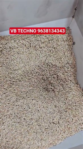 Cumin Seeds Packing Machine