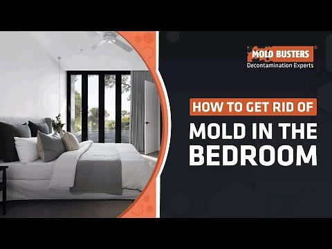 How to Get Rid of Mold in The Bedroom - Mold Busters