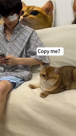 Cat Imitates Human! 😹