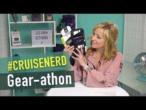 Travelon Id and Passport Holder