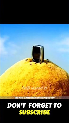 இத கடைசி வர பாருங்க! | Facts Tamizhachi_Facts Ulagam_Fact In Tamil_#shorts