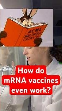 How do mRNA vaccines even work? #science #bio #biology #medicine #vaccine