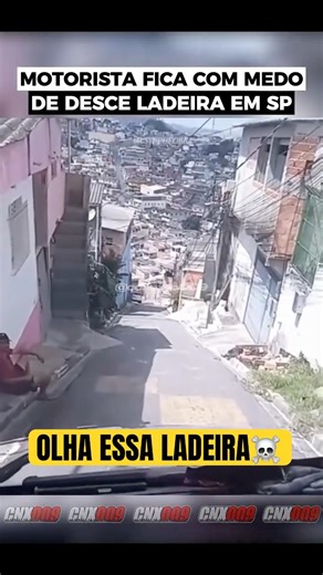 The driver got scared. #shorts #truckdriver #brazil