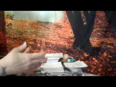 The FOUR Elements Divine Energy Report - Element by Element Divine Report #thecollective #tfs