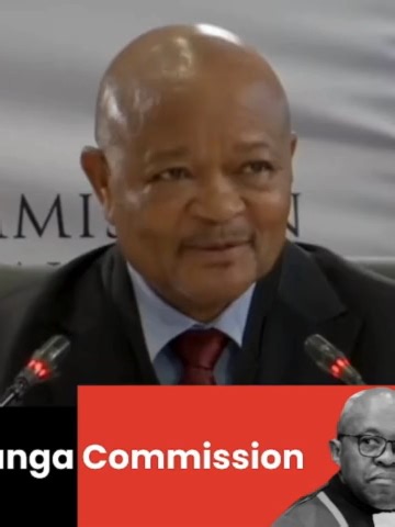 Senzo Mchunu Testifies at Madlanga Commission Hearing