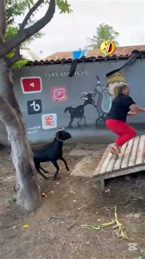 scape goat 🐐 😆