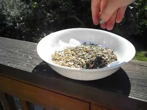 Winnowing Your Seeds. How to winnow the chaff