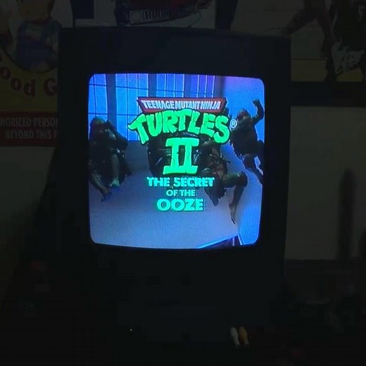 TMNT II (1991) on a CRT #shorts #tmnt #vhs #crt #crttv #90s #nostalgia #analog #retrotech #TMNT2