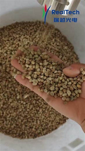 Your Personal Grain Sorting Assistant – Single Chute Sorter S64 #colorsorter #colorsortermachine