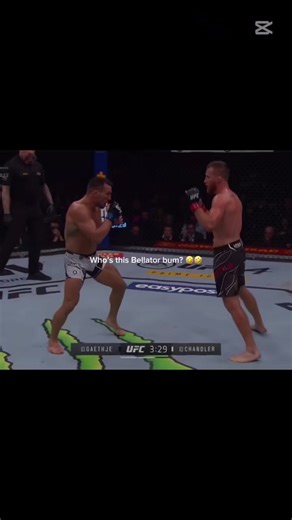 Undefeated in round 1 #ufc #michaelchandler #mma #fighter #knockout | michael chandler