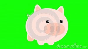 2d Animation Pig Dancing on Green Screen Chroma Key Stock Footage - Video of cartoon, nature: 211884192