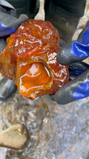 1.3M views · 22K reactions | Insane carnelian find from SW Washington #carnelian #agate #rockhound #washington #creek | Chris Sims | Facebook
