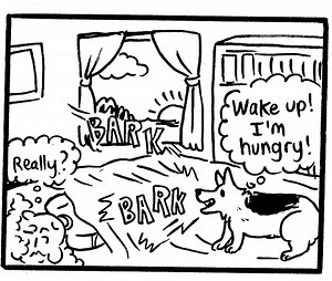 "A Day in the Life" Comics