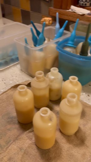 My regular morning helper; Ranger 💕 | Red Box Wildlife Shelter