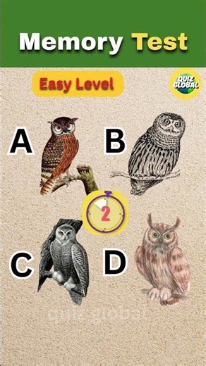 Visual Memory Test - Only For Genius🧠|