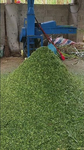High spray chaff cutter machine for cattle feed