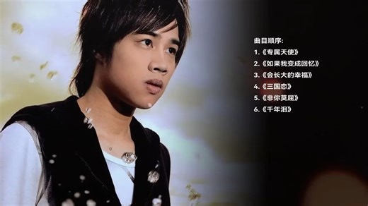 Tank经典歌曲合集 完整版 #前奏一响拾起多少人的回忆 #90后回忆 #三国恋 #看见音乐计划 #车载音乐136