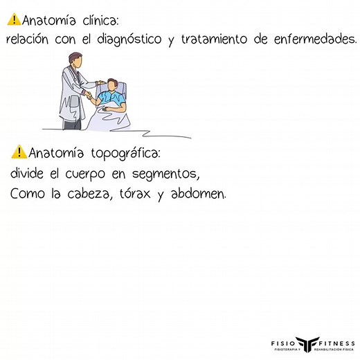 Introducción a la Anatomía Humana - Guía Básica