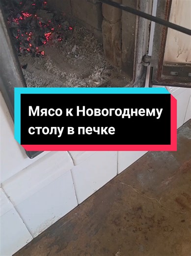 Если печка уже затоплена, грех выпускать тепло просто так. Поэтому у меня всегда находится какое-нибудь мясо или курочка — в этот раз было мясо, и оно сразу отправилось в печь. В итоге получилось ну очень-очень вкусно. Без лишних заморочек, зато с душой #CapCut #печка #мясо #мояжизнь #мойблог