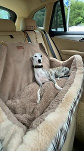 1.5K views · 184 reactions | Winter travel made easy with FUNNYFUZZY Keep Secure!  A cozy, roomy dog car seat with a secure belt for safe trips to Grandpa’s Farm!  Perfect for daily or road trips this winter! ❄️ | FUNNYFUZZY | Facebook