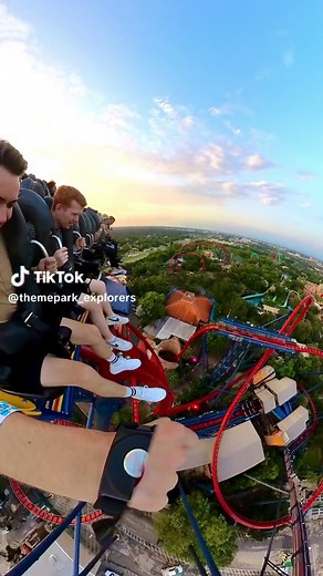 Sheikra at Busch Gardens Tampa Bay: 61 Meter Drop Experience